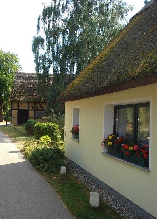 Ferienhaus "Felix" Villa Korswandt Habitación foto